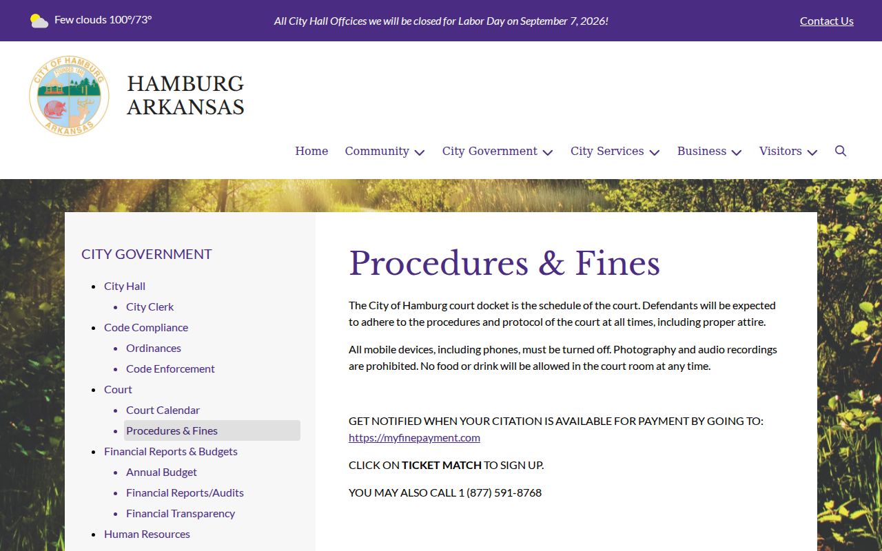 Hamburg procedures and fines page for Ashley County citation payment routing